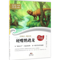 音像硬嘴鹦鹉龙冰波 著;段张取艺 绘