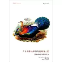 音像古尔德手绘雉科鸟类高清大图[英]约翰·古尔德