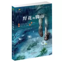 音像野花的脚印(美)斯·奥台尔(Scott O Dell) 著;丁冬 译