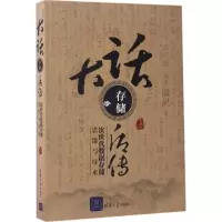 音像大话存储后传冬瓜哥 著