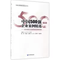 音像中国500强企业案例精选江若尘, 主编