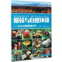 音像蘑菇与自然环境图力古尔,朴龙国,范宇光 著