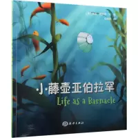 音像小藤壶亚伯拉罕(美)伊莱·鲍尔泽(Eli Balser) 文图;庄昀筠 译