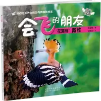 音像