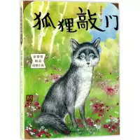 音像狐狸敲门金曾豪 著