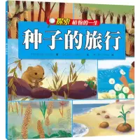 音像种子的旅行