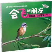 音像