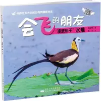 音像