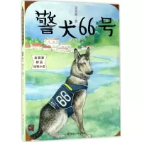 音像警犬66号金曾豪 著