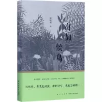 音像有如候鸟周晓枫 著