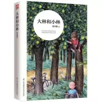 音像大林和小林张天翼 著