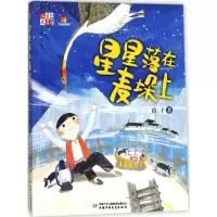 音像星星落在麦垛上霞子 著;赵光宇 绘