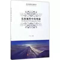 音像比较视野中的奥秘丁方 著
