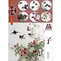 音像临摹宝典王中仁 著