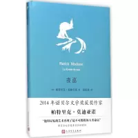 音像夜巡(法)帕特里克·亚诺(Patrick Moniano) 著;张国庆 译