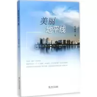 音像美丽地平线杨建强 著