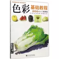 音像色彩基础教程杨建飞 编