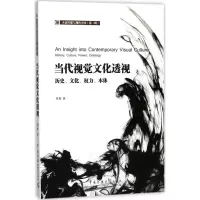 音像当代视觉文化透视刘刻 著