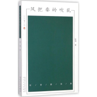 音像风把秦岭吹乱耿翔 著