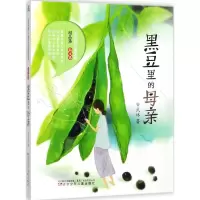 音像黑豆里的母亲安武林 著