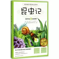 音像昆虫记(法)亨利·法布尔 著;梁守锵 等 译