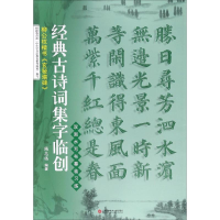 音像柳公权楷书《玄秘塔碑》施志伟 编著