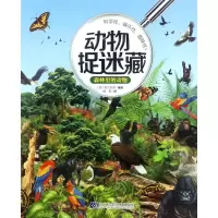 音像森林里的动物(西)阿兰东多 编绘;杨慧 译