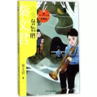 音像小鬼鲁智胜秦文君 著