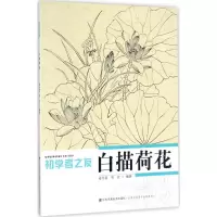 音像白描荷花姜冬莲,周宏 编著