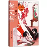 音像小丫林晓梅秦文君 著
