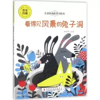 音像看得见风景的兔子洞郑丽萍 主编