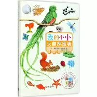 音像我的小小大自然图表()罗斯·基罗德著赵佼佼译