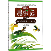 音像夏夜里的小灯笼(法)法布尔 著;潘昌礼,陈红波 编译