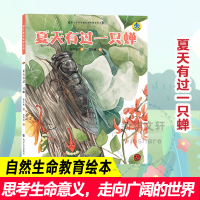 音像夏天有过一只蝉保冬妮
