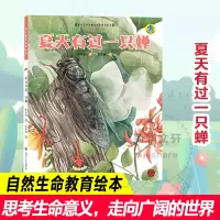 音像夏天有过一只蝉保冬妮