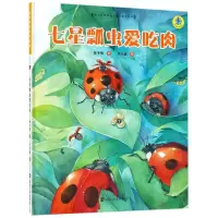 音像七星瓢虫爱吃肉保冬妮