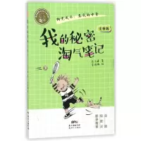 音像我的秘密淘气笔记/肖云峰阳光成长小说系列肖云峰