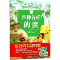 音像各种各样的蛋(比)蕾妮·哈伊尔 绘著;李小彤,陈飞宇 译