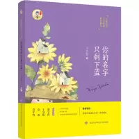音像你的名字只剩下蓝王宜振 著