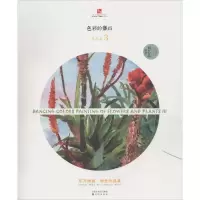 音像色彩的舞蹈刘芯芯 编著