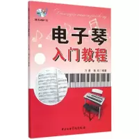 音像琴入门教程刁勇,陈欣 编著