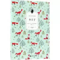 音像小王子(法)安托万·德·圣埃克苏佩里 著;柳鸣九 译