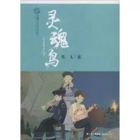 音像灵魂鸟普飞 著