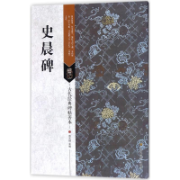 音像史晨碑刘天琪 主编