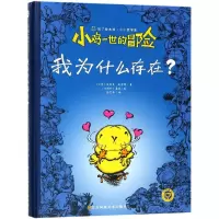 音像小鸡一世的冒险