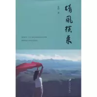 音像清风徐来史祥 著