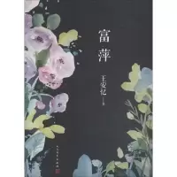音像富萍王安忆 著