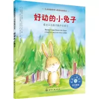 音像好动的小兔子