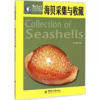 音像海贝采集与收藏冯广明 主编;张素萍 丛书总主编