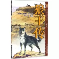 音像狼王传(加)西顿 著;蒲隆 译